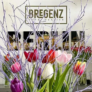 Bregenz Отель типа 